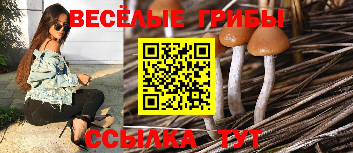 Галлюциногенные грибы GOLDEN TEACHER Гурьевск