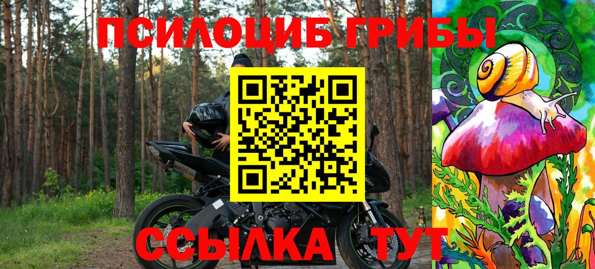 Галлюциногенные грибы мицелий  Вход с VPN  Гурьевск 